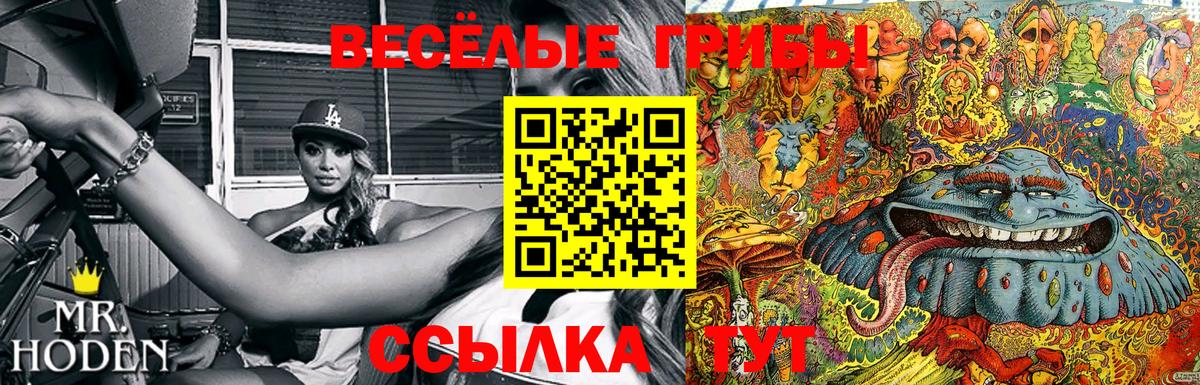 Десногорск  Псилоцибиновые грибы Cubensis  Вход с VPN 